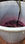 Vino rosso Montepulciano annata 2021 - Foto 2