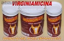 Virginiamicina movirgin-cav + peso é boi gordo no pasto