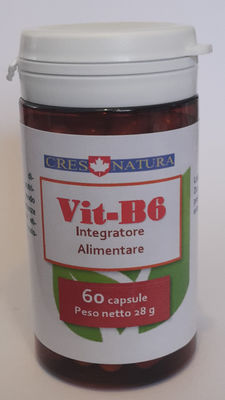 Vit-B6 60 capsule