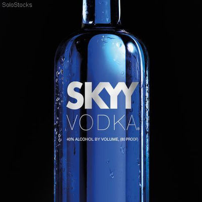 Vodka skyy 750cc