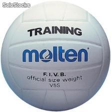 Volleyball Molten® Training