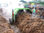 Volteadora de compost agraris 2,20 - Foto 3