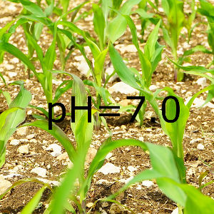 Wapno mineralno organiczne, skuteczna regulacja pH gleby już po 14 dniach - Zdjęcie 4