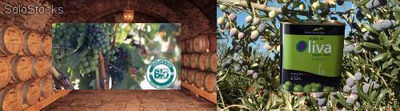 Wein ökologische und Bio-Olivenöl