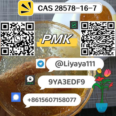 Well-sold PMK ethyl glycidate CAS 28578-16-7 white solid powder/ yellow liquid - Photo 5