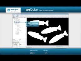 weQube, La cámara Wenglor con detección de objetos basada en contornos - Foto 4