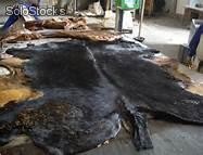wet Salted Cow Hides