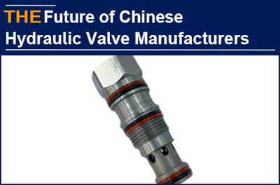 What kind of Chinese hydraulic valve manufacturers have a future? AAK believes t