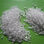 white fused alumina wfa/white polishing compound - 1