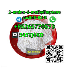 Wholesale Price 2-amino-6-methylheptane CAS543-82-10，CAS119-61-9，CAS10250-27-8