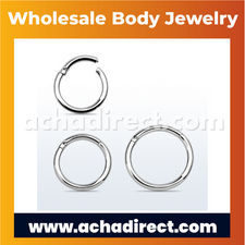 Wholesale Surgical Steel Hinged Segment Ring | Acha
