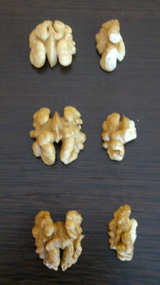 Wholesale with walnuts - Foto 4