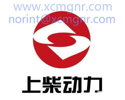 Xcmg pièces Shangchai c6121 6135k d6114 d9-220 pièces