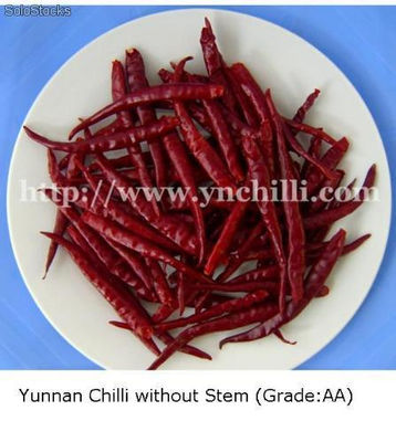 Yunnan chile