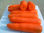 zanahorias frescas - 1