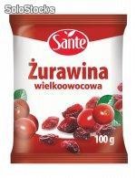 Żurawina wielkoowocowa